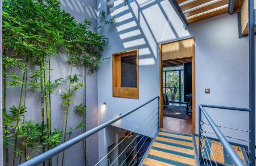 Allende House | Casa Bamboo