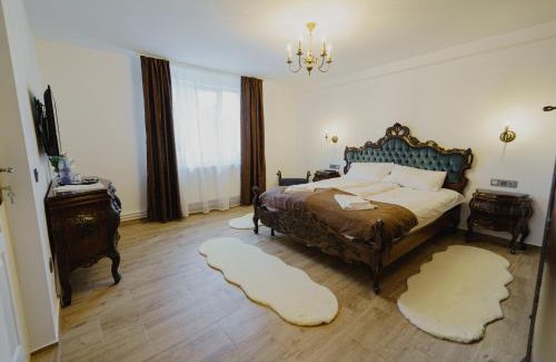 Baia Mare House | CASA BARONULUI