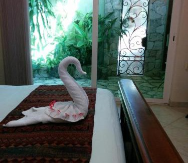Playacar House | Casa Beard, Spacious Guest House with High Speed WiFi & Pool.