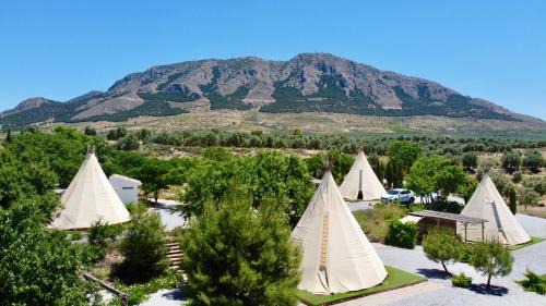 Zujar Other | Casa Bella Teepees