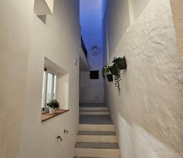 Olvera House | Casa Borete