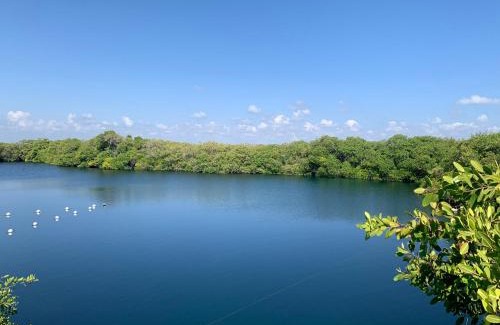 Zona Hotelera Other | Casa Borush Tulum Glamping Fruit & Cenote Experience