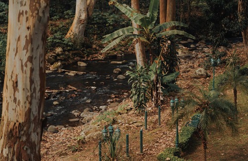 Coatepec House | Casa Briones, Veracruz