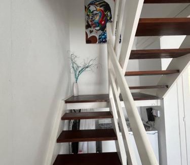 Parque Holandes Apartment | Casa Cactus Paraiso