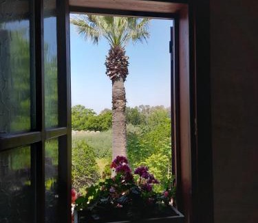 Selcuk Bed & Breakfast | Casa Callinos