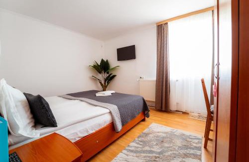 Tasnad House | Casa Carol