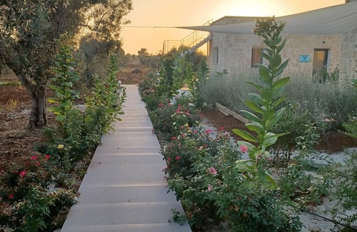 Santa Caterina House | Casa Cellina among Salento's olive trees and beaches Porto Cesareo and Torre Lapillo