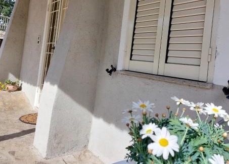 Fratta House | Casa civico22