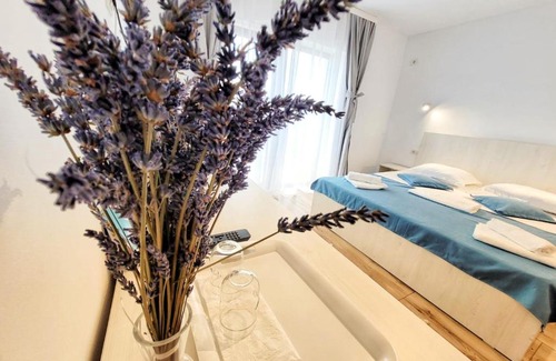 Costinesti House | Casa Cochilia - Camera Privata in Localitatea Tuzla