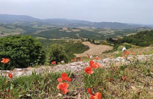 Monteguidi Apartment | Casa Contadina in borgo medievale, Tuscany