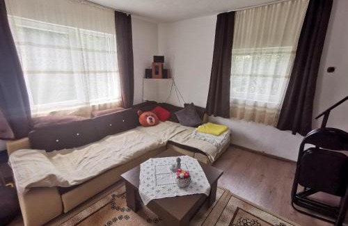 Seini House | Casa cu veverițe