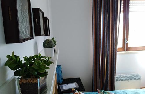 Tomar House | Casa da Lameira