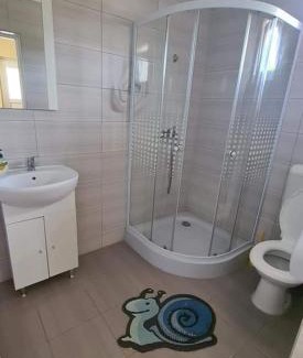Tasnad House | Casa Dana