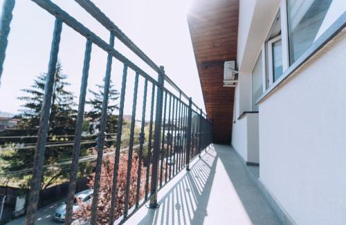 Bistrita Hotel | Casa Dany