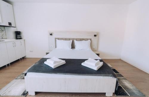 Bistrita Hotel | Casa Dany