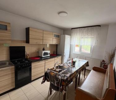 Vatra Dornei House | Casa Dany