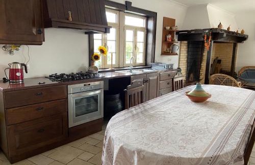 Bajouca Villa | Casa das Andorinhas - Campo e Piscina