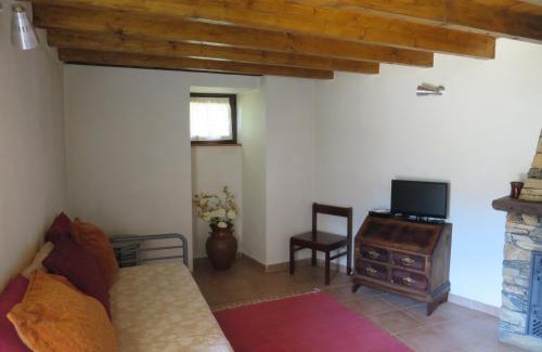Gois House | Casa das Oliveiras