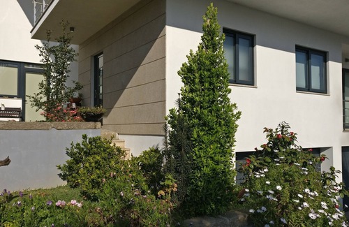Sao Pedro de Casteloes House | Casa de Coelhosa - Quality Local Lodging