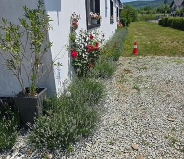 Bistrita Hotel | Casa de oaspeti Wallendorf Bistrita Unirea