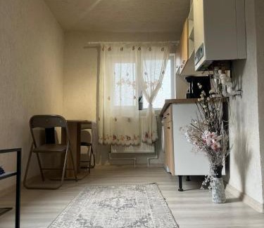 Braila House | Casa de vacanța
