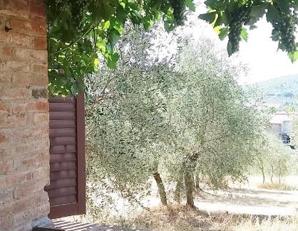 Vescovado House | Casa dei Borghi