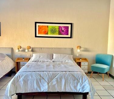 Los Cabos Bed & Breakfast | Casa Dei Girasoli