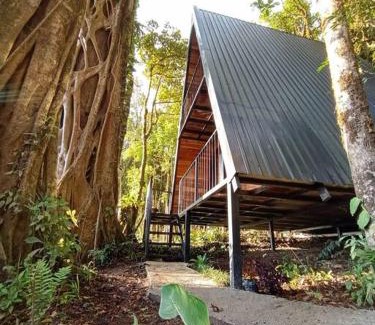 Quebrada Grande Ski Chalet | Casa del Árbol (A-Frame) - Ágape del Bosque