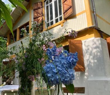 Saturnana House | Casa del Castagno: un nido nel castagneto