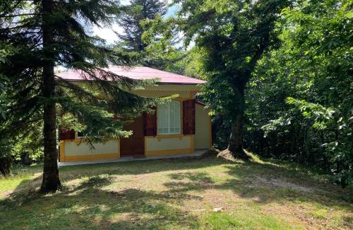 Saturnana House | Casa del Castagno: un nido nel castagneto