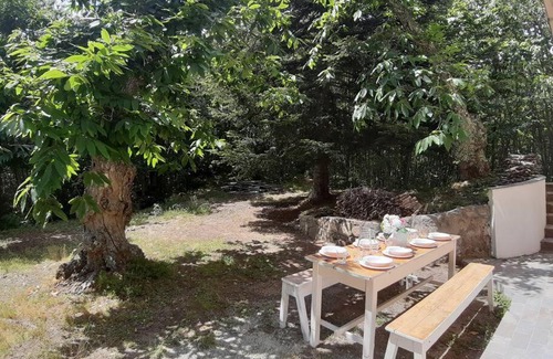 Saturnana House | Casa del Castagno: un nido nel castagneto