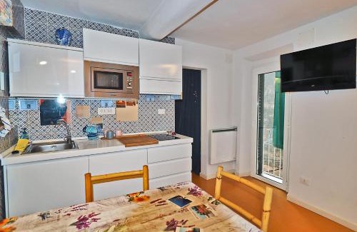 San Terenzo Apartment | Casa del pescatore a 100m dal mare 011016-LT-0569