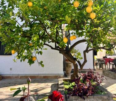 Recanati Apartment | Casa del Sileno 12
