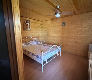 Vadu House | Casa Delia