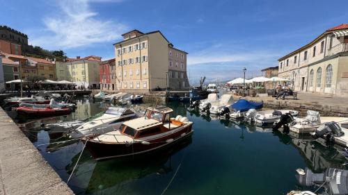 Muggia Apartment | Casa di Giovanni - Italien