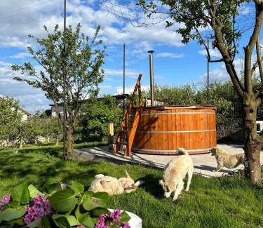 Rosia Bed & Breakfast | Casa din Deal