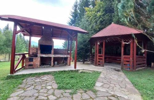 Traisteni Villa | Casa din Padure Valea Doftanei