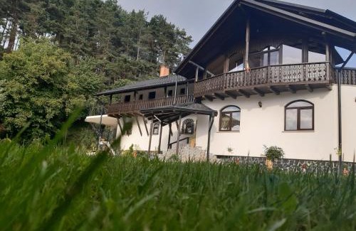 Paltinoasa House | CASA DINTRE PINI