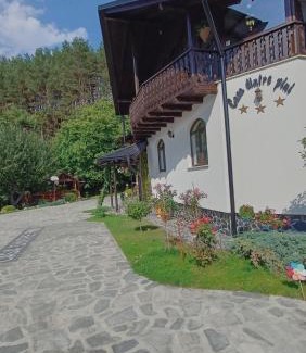 Paltinoasa House | CASA DINTRE PINI
