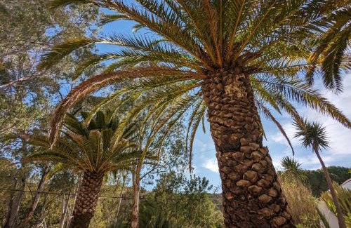 Montes de Cima Bed & Breakfast | Casa do Palmeiral - Hoom B&B