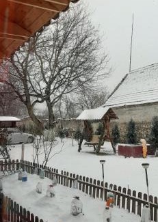Vladeni Bed & Breakfast | Casa Doboş