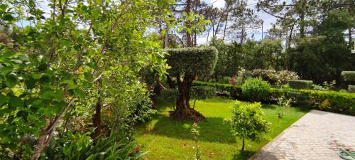 Pedreiras Villa | Casa Dos Vales 11