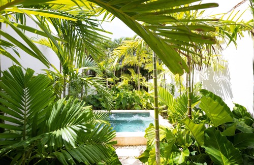 Los Naranjos Villa | Casa Edén by Luxe Haus™ – Butlered Villa, Staff, Pool, Jacuzzi, Golf Carts