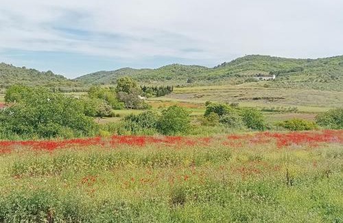 Cazalla De La Sierra House | Casa El Azahin