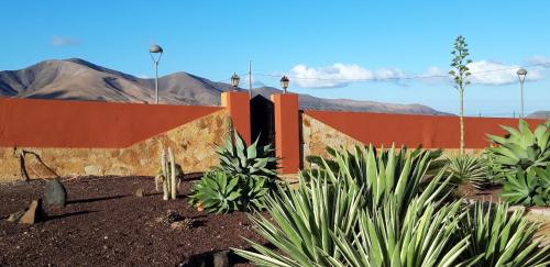Triquivijate House | Casa El Horno