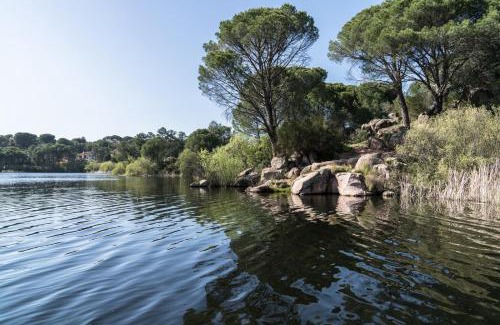 Las Jaras House | Casa el Refugio del Lago alojamiento rural