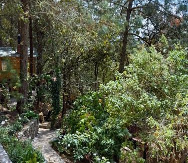 San Jose del Pacifico Apartment | Casa Elba Cabañas & Bistro