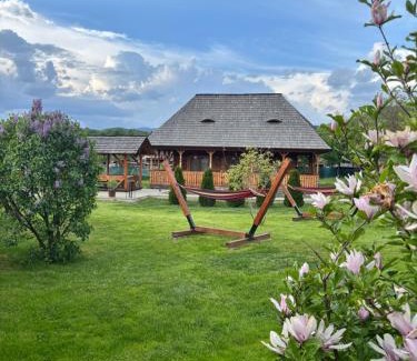 Viseu de Sus House | Casa Eli