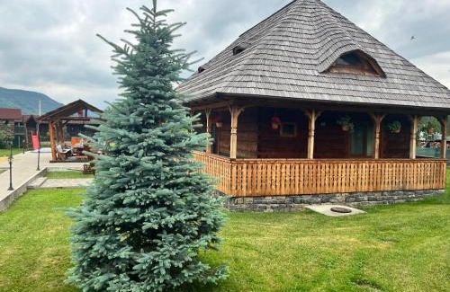 Viseu de Sus House | Casa Eli