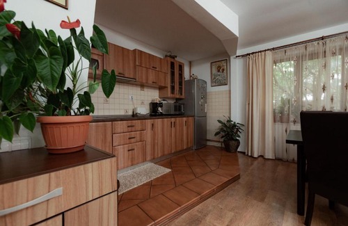Vatra Dornei House | Casa Emma